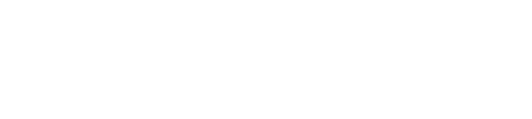 The Law Office of Charlie Shane, PLLC
